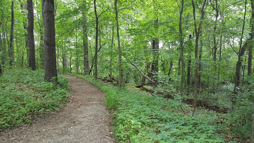 Nature Preserve «Jackson Bog State Nature Preserve», reviews and photos, 7984 Fulton Dr NW, Massillon, OH 44646, USA