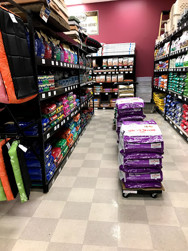 Pet Store «Petland Vineyard - San Antonio», reviews and photos, 1309 North Loop 1604 W #101, San Antonio, TX 78258, USA