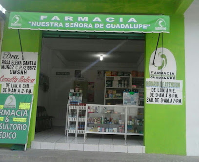 Farmacia Nuestra Señora De Guadalupe Tecoac Av Salvador Sanchez Colin 583, San Pedro Del Rosal, Méx. Mexico