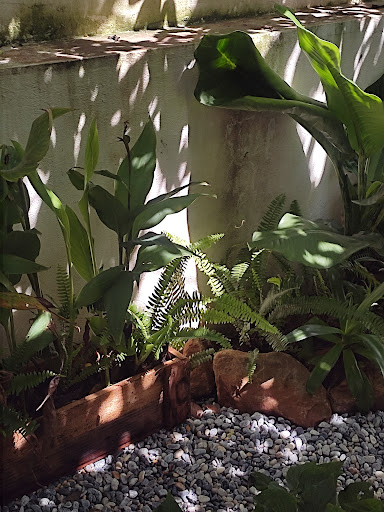 Top 20 quán cafe cho trẻ em Huyện Vĩnh Bảo Hải Phòng 2022