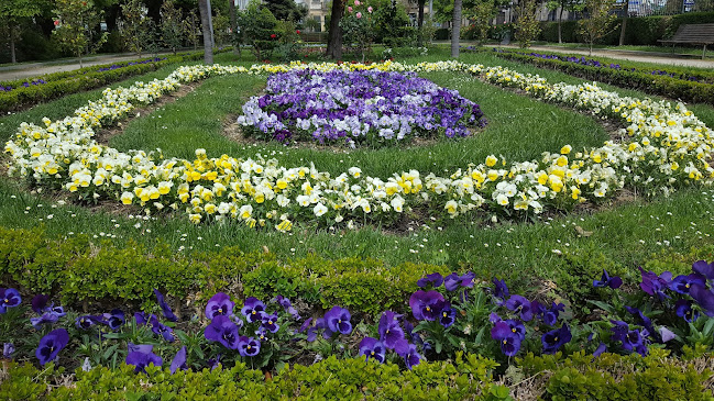 Associação Chaves Social - Chaves