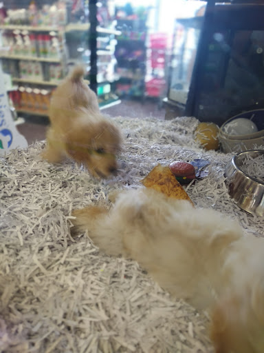 Pet Store «Animal City Pet Center», reviews and photos, 919 NW Broad St, Murfreesboro, TN 37129, USA