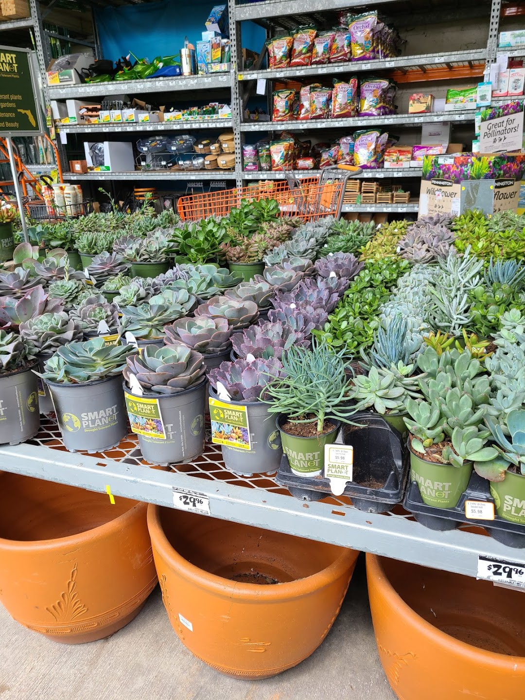 Garden Center at The Home Depot