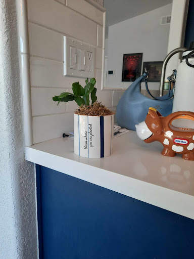 Florist «Cactus Flower Florists», reviews and photos, 10822 N Scottsdale Rd, Scottsdale, AZ 85254, USA