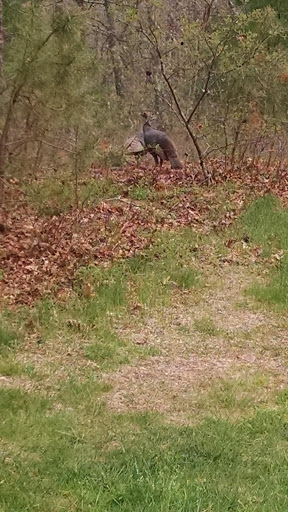 Golf Club «Crosswinds Golf Club», reviews and photos, 424 Long Pond Rd, Plymouth, MA 02360, USA