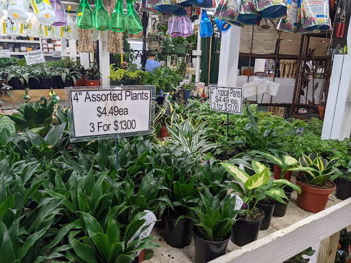 Florist «Metropolitan Plant & Flower», reviews and photos, 840 NJ-17, Paramus, NJ 07652, USA