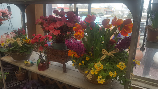 Florist «Bayport Flower Houses, Inc.», reviews and photos, 940 Montauk Hwy, Bayport, NY 11705, USA