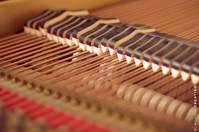 Accordeur Pianos Shirel Frattini à Colmar