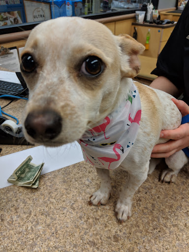 Pet Supply Store «PetSmart», reviews and photos, 367 Mt Hope Ave, Rockaway, NJ 07866, USA