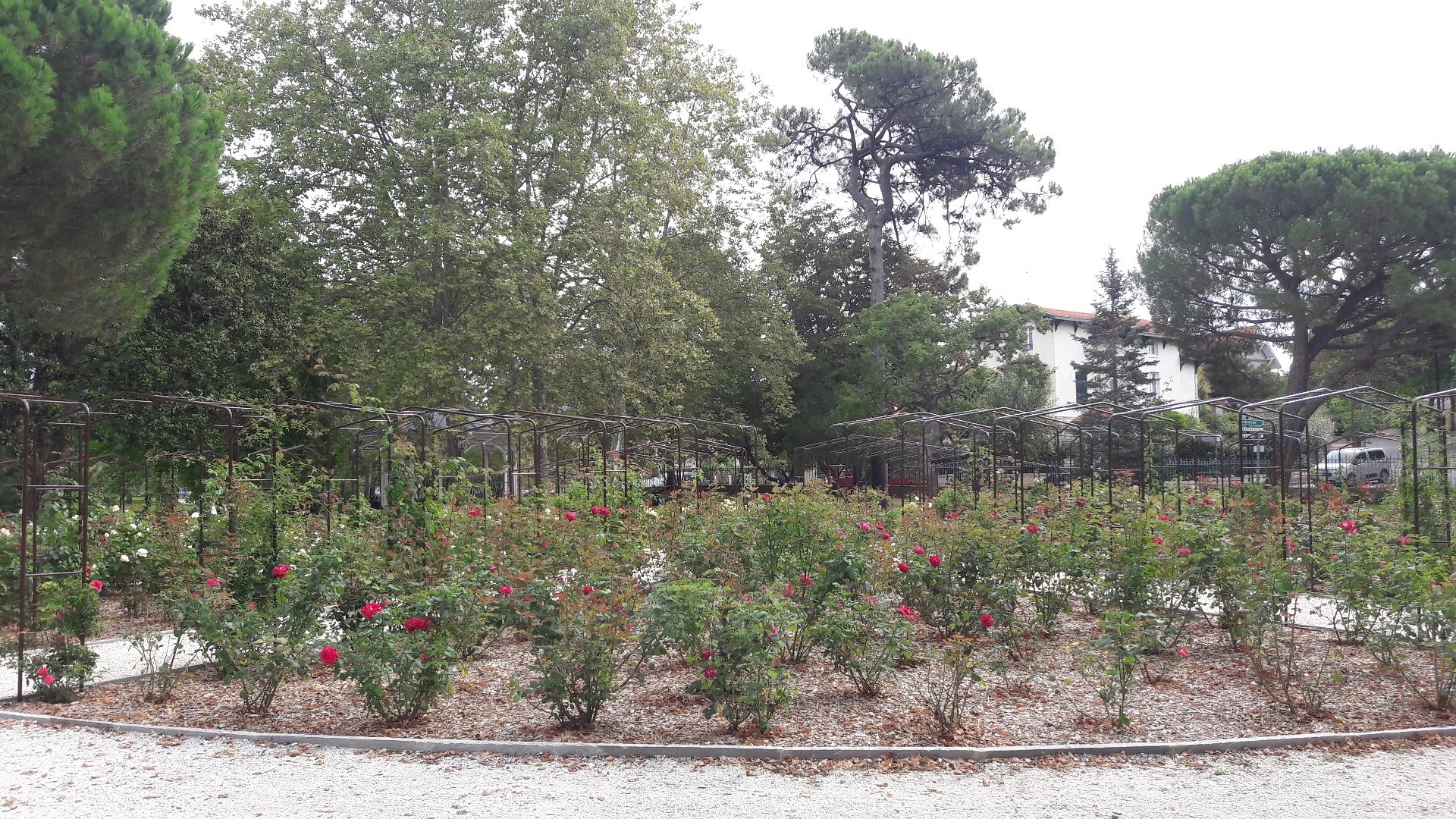 Photo n° 1 de l'avis de Mylène.a fait le 17/09/2019 à 09:24