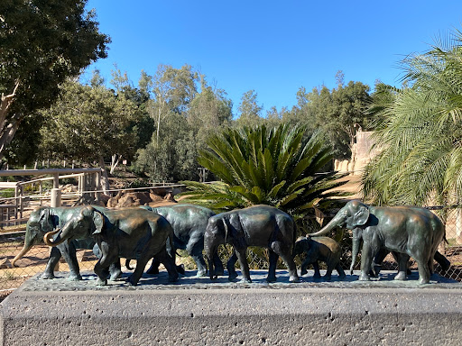 Animal watering hole Carlsbad