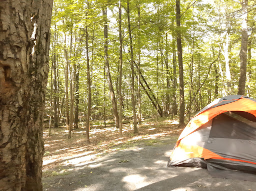 State Park «Winding Hills County Park», reviews and photos, 1847 NY-17K, Montgomery, NY 12549, USA