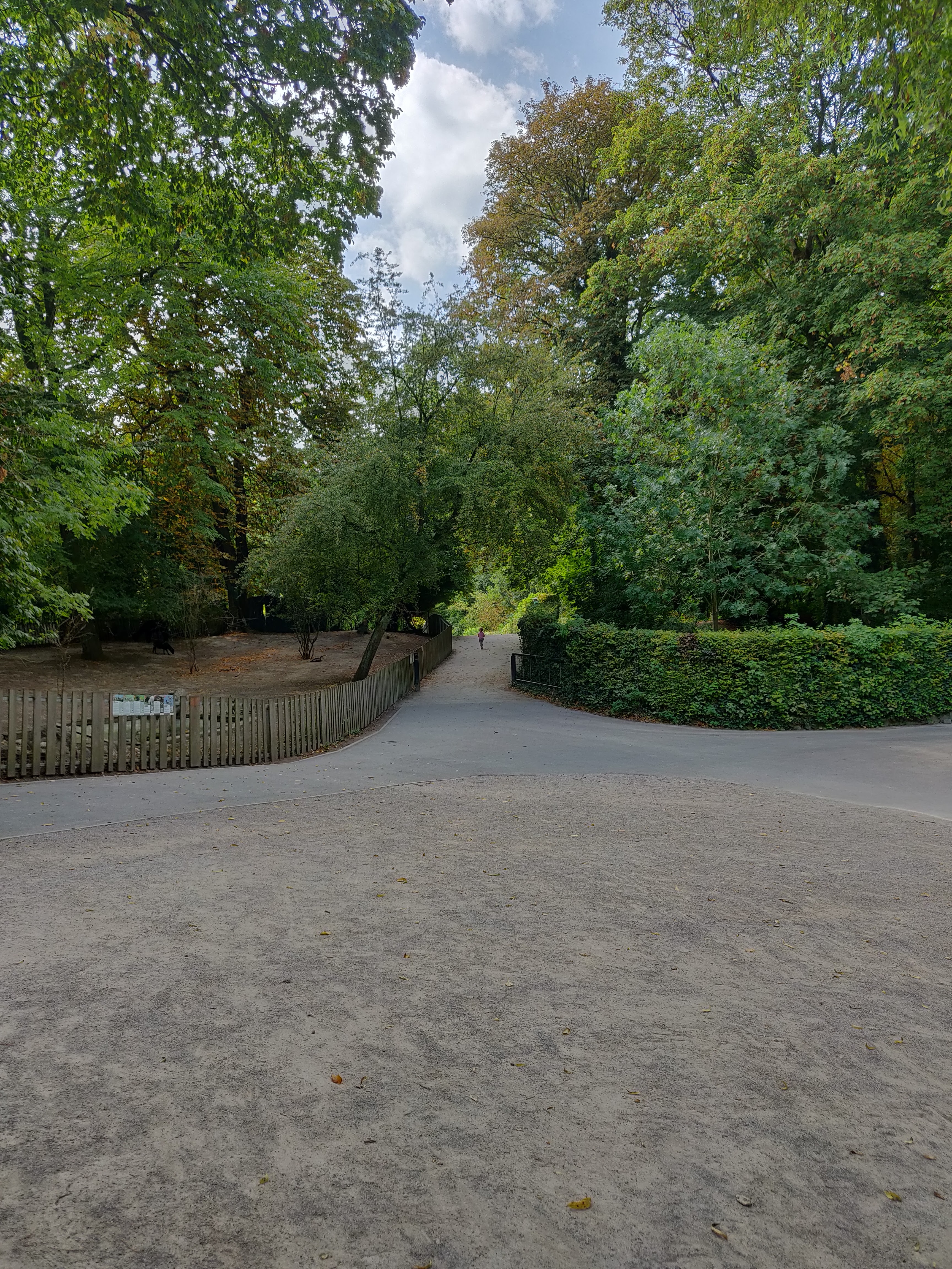 Photo n° 27 de l'avis de Amélie.e fait le 31/08/2019 à 17:39