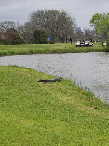 Public Golf Course «Freeport Golf Course», reviews and photos, 830 Slaughter Rd, Freeport, TX 77541, USA