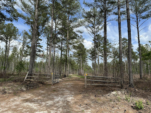 Hoke Community Forest