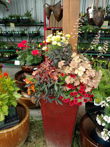 Home Improvement Store «Duvall True Value Hardware», reviews and photos, 15320 Brown Ave NE, Duvall, WA 98019, USA