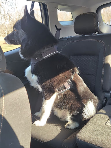 Pet Supply Store «Pet Supplies Plus», reviews and photos, 34370 Aurora Rd, Solon, OH 44136, USA