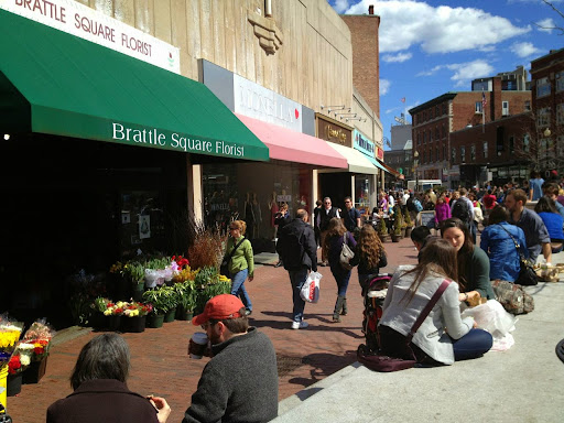 Florist «Brattle Square Florist», reviews and photos, 31 Brattle St, Cambridge, MA 02138, USA