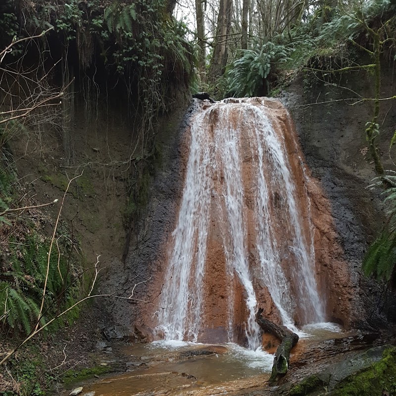 Cougar Mountain Regional Wildland Park