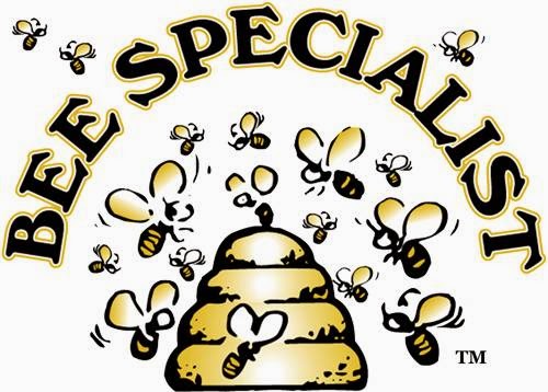 Ojai Bee Removal Specialist