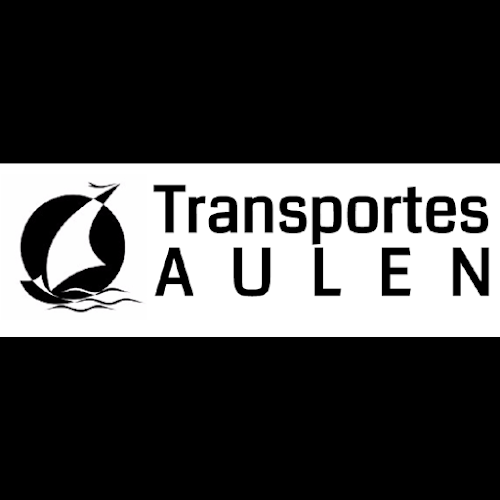 Opiniones de Transportes Aulen en Punta Arenas - Servicio de transporte