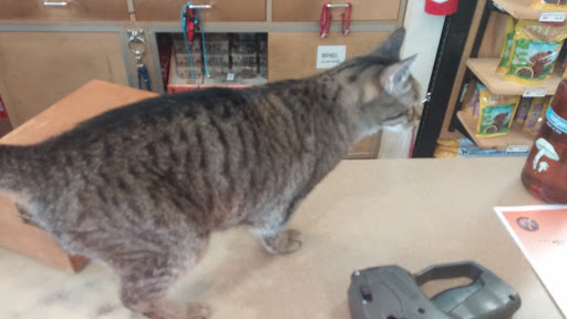 Pet Store «Paws & Fins Pet Shop», reviews and photos, 360 Tormey Ln NE, Bainbridge Island, WA 98110, USA