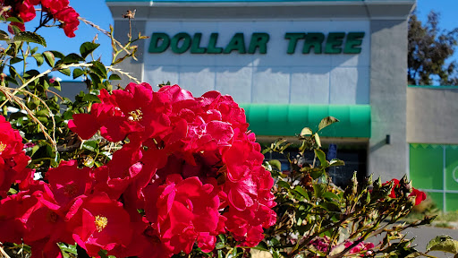 Dollar Store «Dollar Tree», reviews and photos, 3060 Travis Blvd, Fairfield, CA 94534, USA