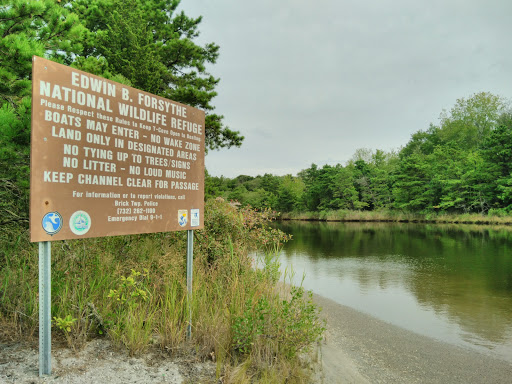 Nature Preserve «Edwin B. Forsythe National Wildlife Refuge- deCamp Wildlife Trail», reviews and photos, 365 Mantoloking Rd, Brick, NJ 08723, USA