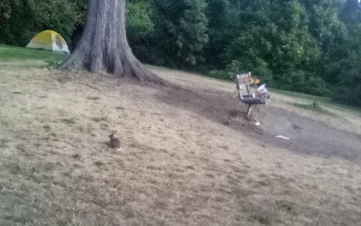 Park «Viretta Park», reviews and photos, 151 Lake Washington Blvd E, Seattle, WA 98112, USA