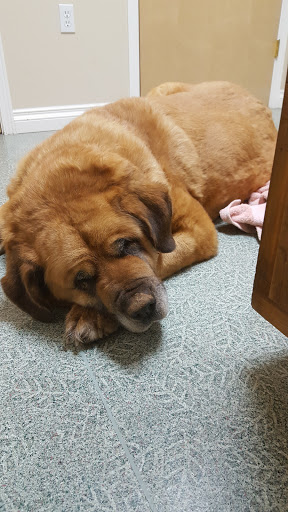 Pleasant Hill Animal Hospital - NOW MERGED WITH WEST EUGENE ANIMAL HOSPITAL