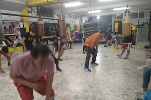 Gym De Box Luis Ángel Meléndez - image