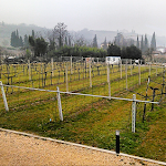 Photo n°3 de l'avis de Lorenzo.o fait le 23/01/2019 à 10:30 sur le  Residenza La Palma - Negrar di Valpolicella à Negrar di Valpolicella