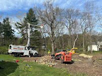 Avalanche Tree and Landscaping LLC - Photo 5 - Car repair in New Haven, CT, New Haven
