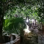 Photo n°4 de l'avis de Joanna.i fait le 02/08/2023 à 08:48 sur le  Farmhouse La Grotta à Corbara