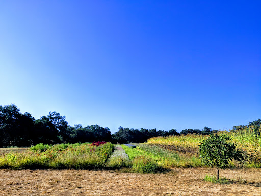 Farm «Oak Hill Farm», reviews and photos, 15101 CA-12, Glen Ellen, CA 95442, USA