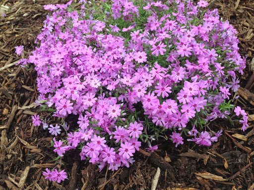 Park «Edison State Park», reviews and photos, 37 Christie St, Edison, NJ 08820, USA