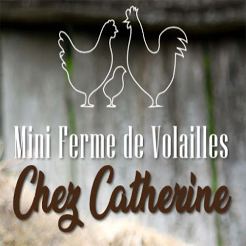 LA MINI-FERME CHEZ CATHERINE à Saint-André-de-Sangonis