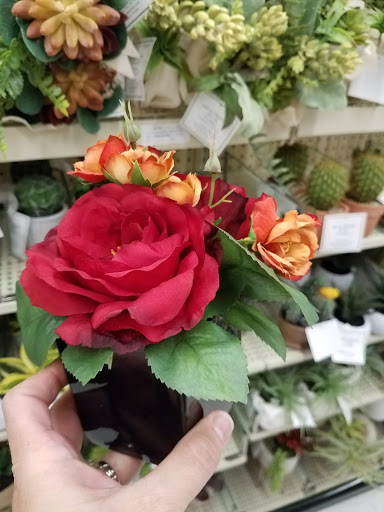 Craft Store «Hobby Lobby», reviews and photos, 6565 N Blackstone Ave, Fresno, CA 93710, USA