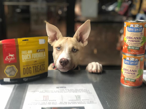 Pet Store «Pet Planet Ridgeview», reviews and photos, 2910 N Power Rd #103, Mesa, AZ 85215, USA