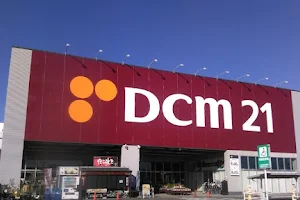 DCM 21 Inazawa image