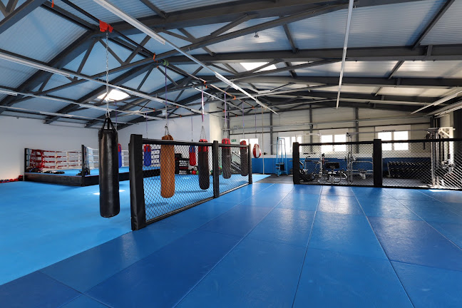 Rezensionen über Fight Industry in Freienbach - Fitnessstudio