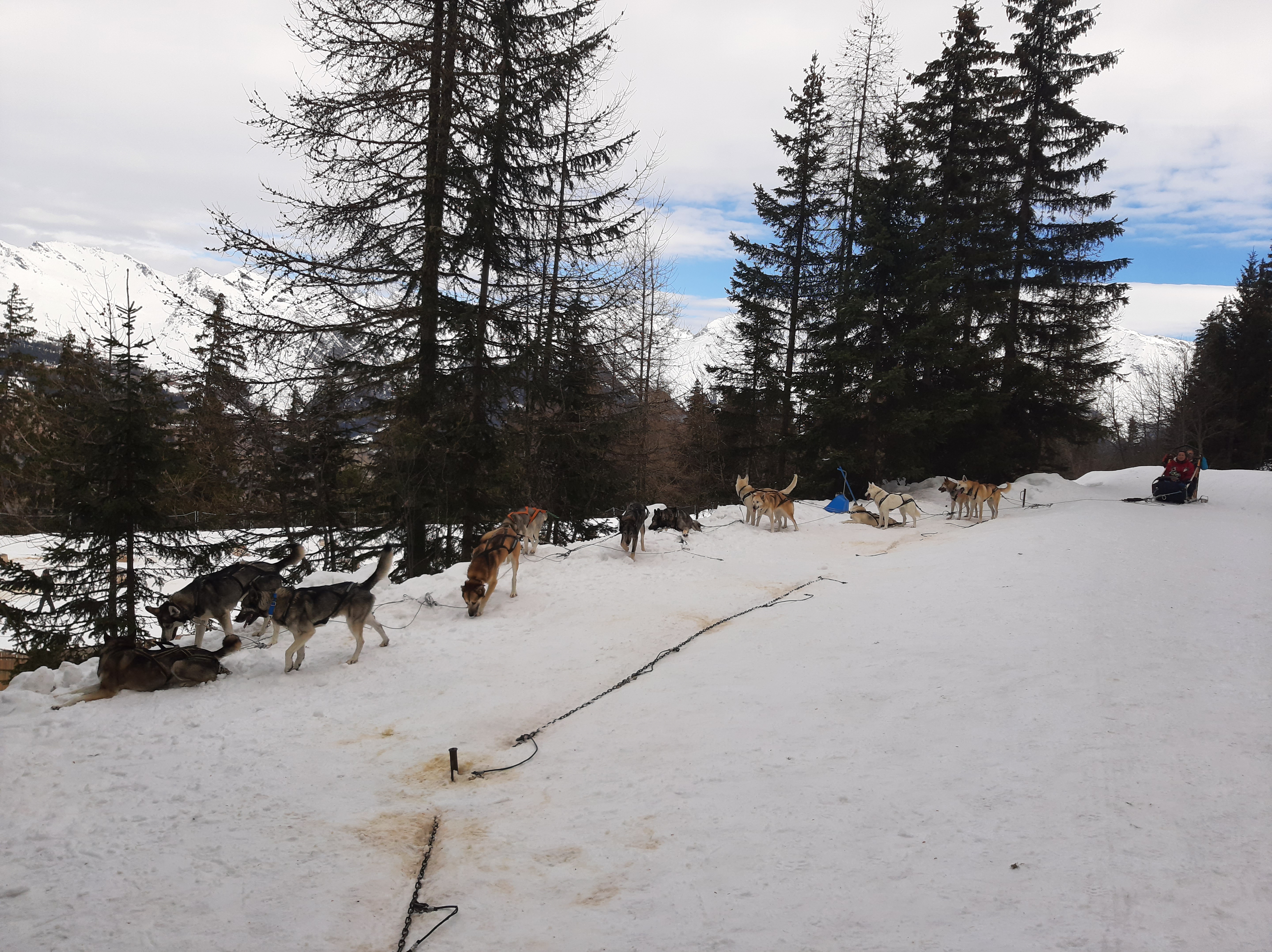 Photo n° 1 de l'avis de Sandra.a fait le 27/04/2023 à 12:52