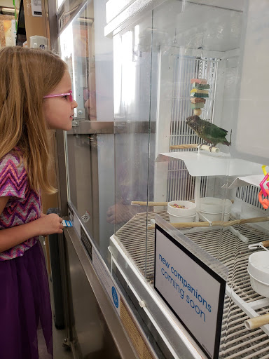 Pet Supply Store «Petco Animal Supplies», reviews and photos, 4801 Colleyville Blvd #710, Colleyville, TX 76034, USA