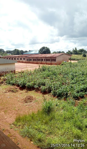 University Secondary school, Ihe Nsukka, Nsukka, Nigeria, University, state Enugu