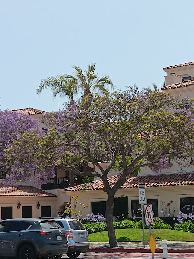 Starbucks image