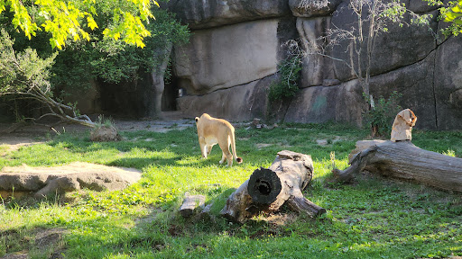 Zoo «Memphis Zoo», reviews and photos, 2000 Prentiss Pl, Memphis, TN 38112, USA