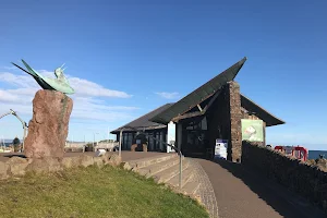 Scottish Seabird Centre image