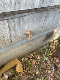 Allum Plumbing - Photo 2 - Car repair in , Spokane