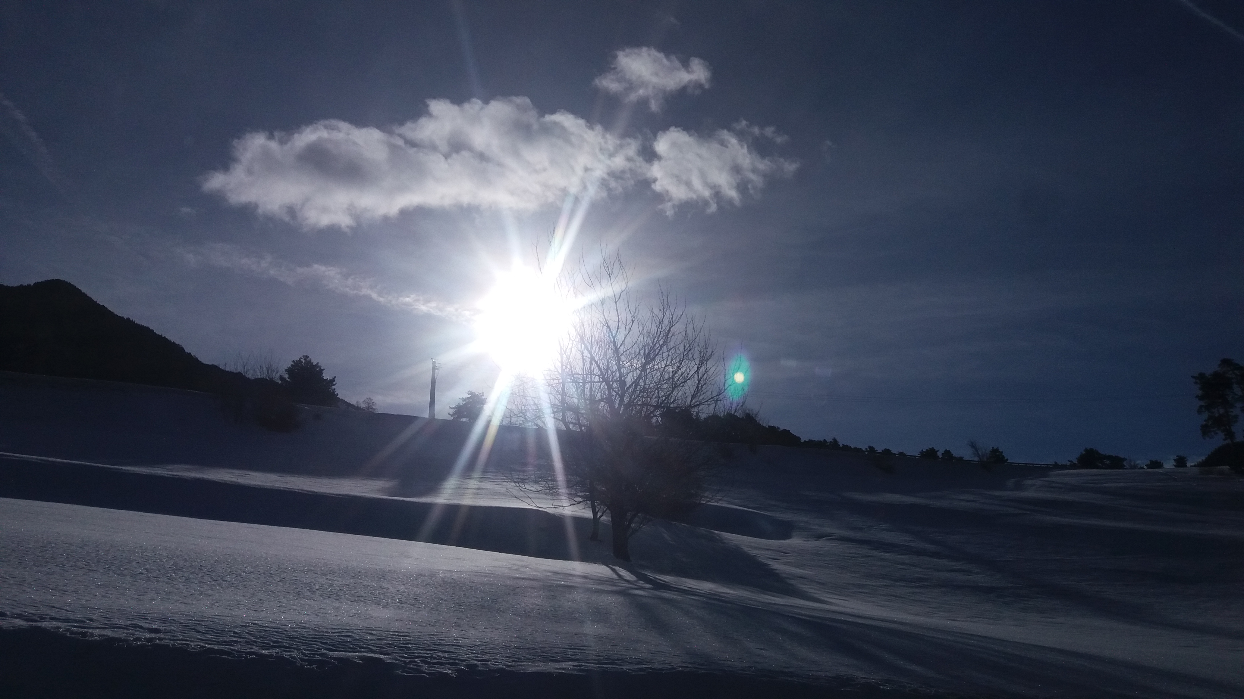 Photo n° 4 de l'avis de Šaldis. fait le 09/02/2019 à 09:28