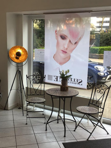 Salon Image